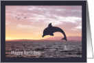 Silhouette Dolphin Leaping from the Ocean Birthday Card