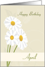 Daisies April Birth Flower for Birthday card