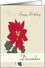 Poinsettia December Birth Flower for Birthday card