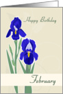 Iris February Birth Flower for Birthday card