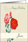 Rose June Birth Flower for Birthday card