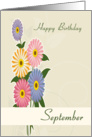 Aster September Birth Flower for Birthday card