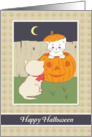 Retro Kittens Playing in Pumpkin with Pumpkin Background for Halloween card