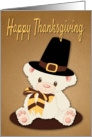 Cute Teddy Bear with a Pilgrim Hat for Thanksgiving card