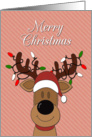 Cartoon Reindeer Face with Christmas Lights for Christmas card