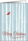 Red Cardinal in Forest Silhouette for Merry Christmas card