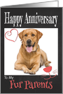 Retro Happy Anniversary to Fur Parents from Pet card