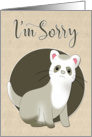 Cute Sad Ferret for Apology card