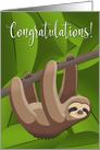 Sloth Hanging from a Tree for Congratulations card