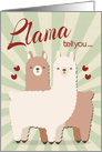 Llama Couple for Wedding Anniversary during Coronavirus card