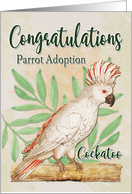 Congratulations on Cockatoo Parrot Adoption card