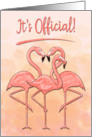 Announcing Adult Adopting with Flamingo Family card