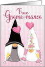 Gnome Bride and Groom for Happy Anniversary card