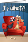 Funny Surprised Birthday with Dog and Cat card