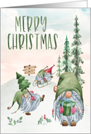 Merry Christmas with Gnomes in Winter Wonderland card