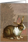 Vintage Rabbit Painting Blank card