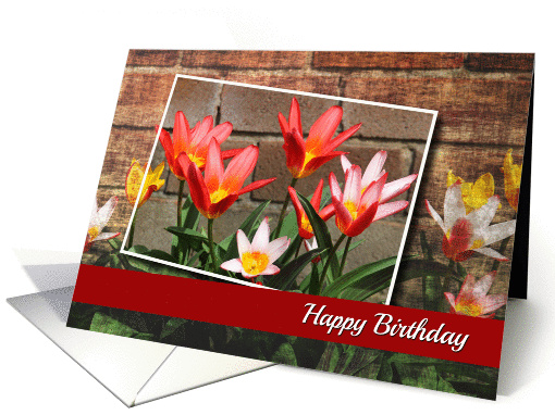 Colorful Flower Birthday card (1308040)