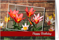 Colorful Flower Birthday Card