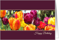 Colorful Purple and Orange Flowers Birthday Card
