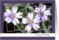 Purple Flower Happy Birthday Card