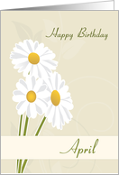 Daisies April Birth Flower for Birthday card