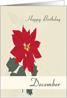 Poinsettia December Birth Flower for Birthday card