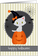 Kitten on a Pumpkin with Spider webs and Witchs Hat for Halloween card