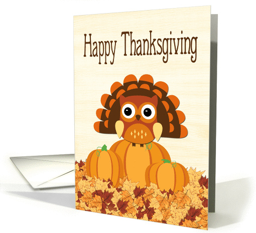 Owl with Turkey Feathers on Pumpkins for Thanksgiving card (1388028)