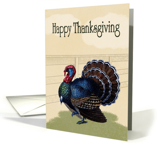 Colorful Vintage Turkey in Front of Wood Fence for Thanksgiving card