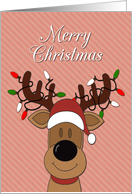 Cartoon Reindeer Face with Christmas Lights for Christmas card