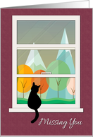 Cat in Window...