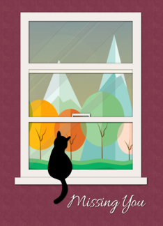Cat in Window...