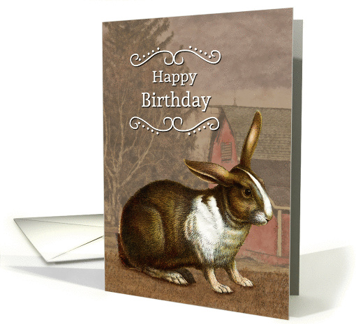 Vintage Rabbit in Front of Barn for Birthday card (1408264)
