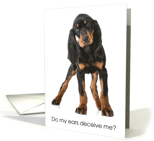 Black & Tan Coonhound Puppy for Birthday card (1441772)