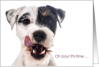 Parson Russell Terrier Licking His Lips for Birthday card