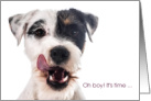 Parson Russell Terrier Licking His Lips for Birthday card