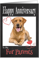 Retro Happy Anniversary to Fur Parents from Pet card