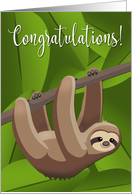 Sloth Hanging from a Tree for Congratulations card