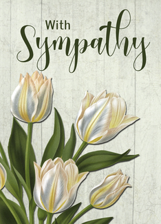 Tulips Sympathy for...