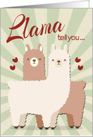 Llama Couple for Wedding Anniversary during Coronavirus card