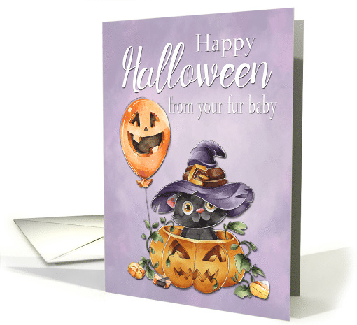 Happy Halloween from Fur Baby with Kitten in Witchs Hat card