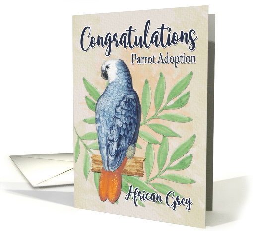 Congratulations on African Grey Parrot Adoption card (1617346)