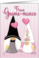 Gnome Bride and Groom for Happy Anniversary card