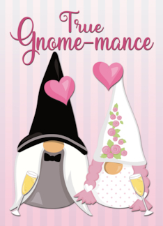 Gnome Bride and...
