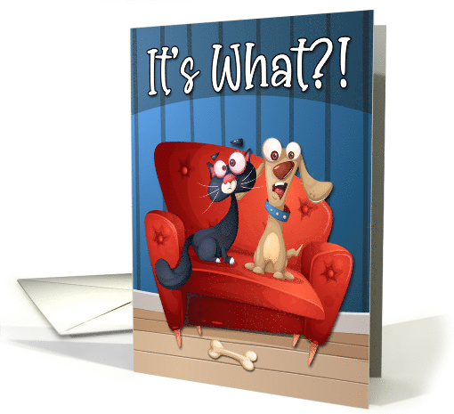 Funny Surprised Birthday with Dog and Cat card (1687224)