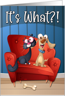 Funny Surprised Birthday with Dog and Cat card