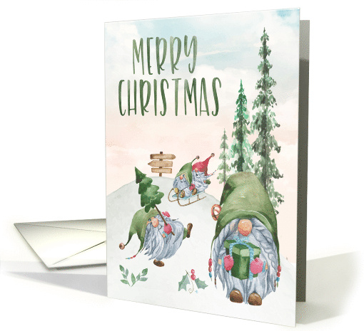 Merry Christmas with Gnomes in Winter Wonderland card (1691328)