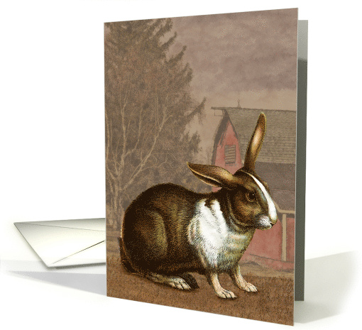Vintage Rabbit Painting Blank card (1730584)