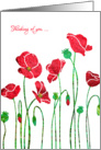 Thinking of You for Cancer Patient, Encouragement, Elegant Red Poppy card