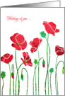 Thinking of You with Elegant Red Poppy, For Anyone, modern design card